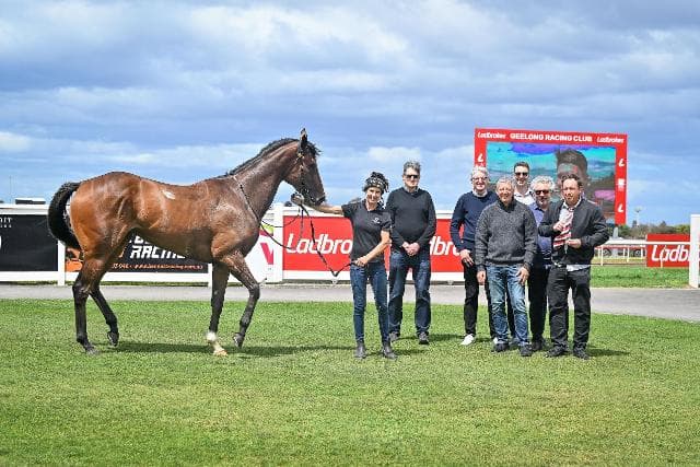 Injury forces Astral Flame to the paddock
