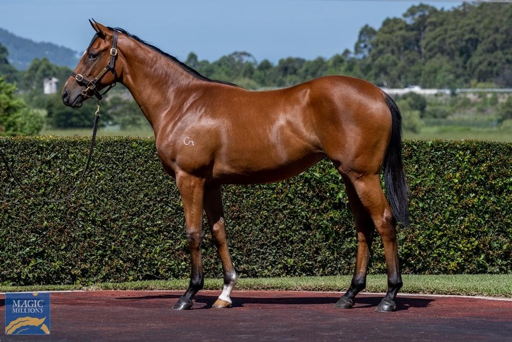 Castelli In Aria