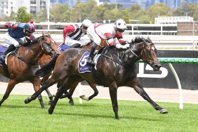Lustre dimmed in The Goodwood